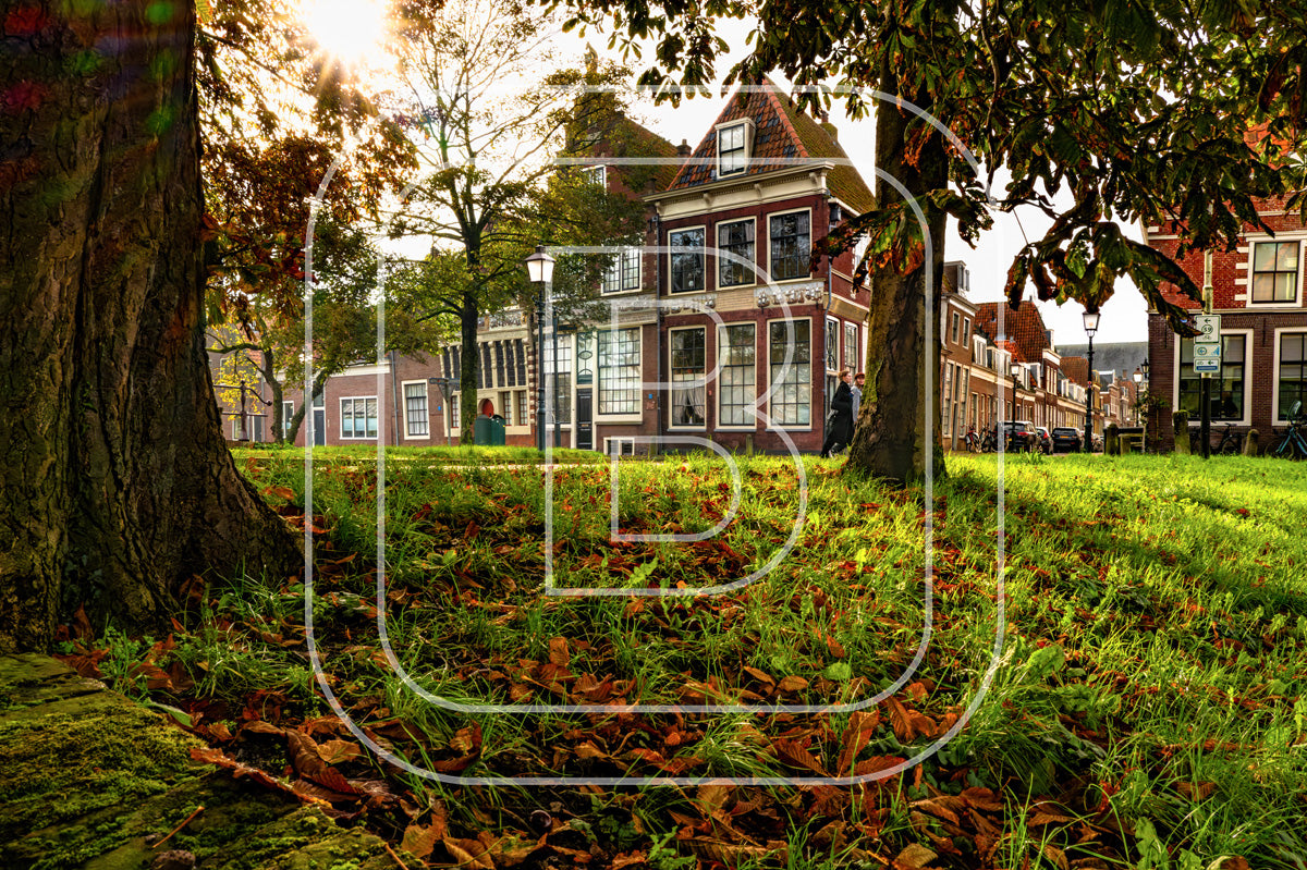 Grote Oost Bossuhuizen 86515