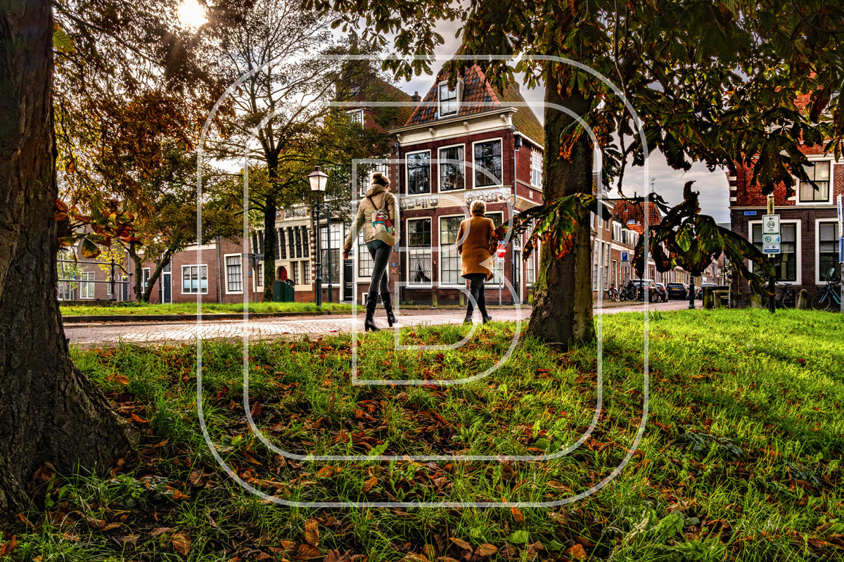 Grote Oost Bossuhuizen 62683