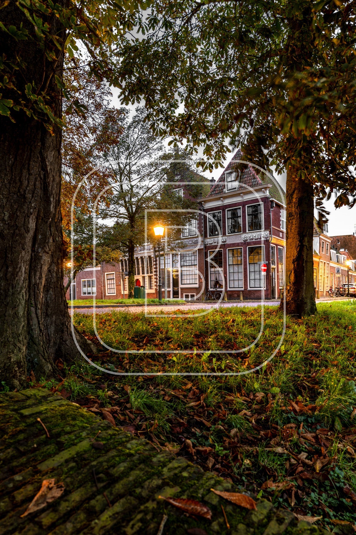 Grote Oost Bossuhuizen 80743