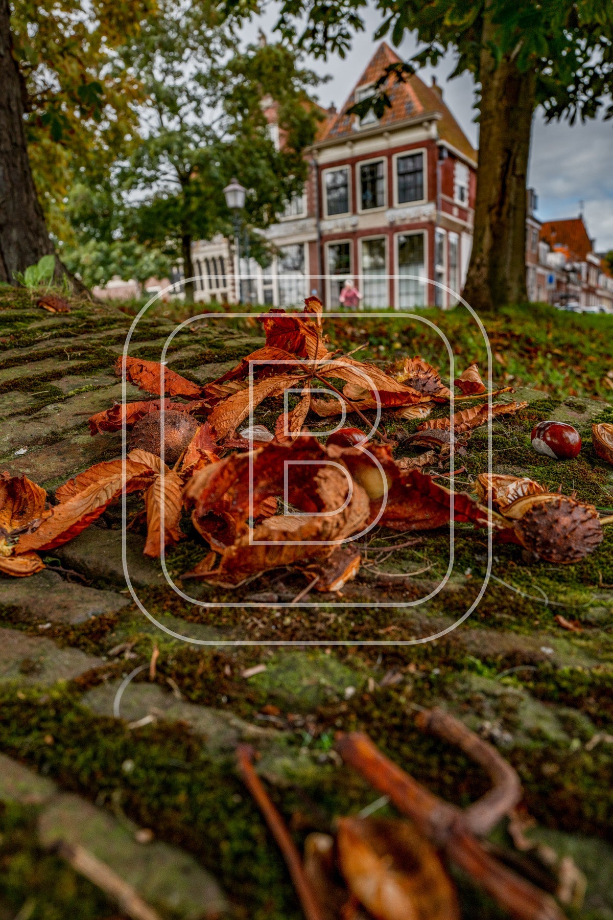 Grote Oost Bossuhuizen 20011