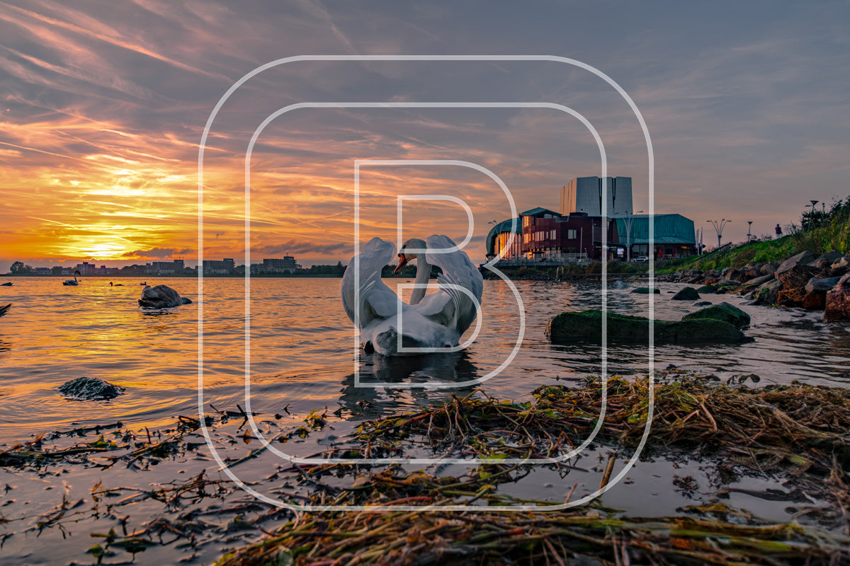 Park Schouwburg 77237