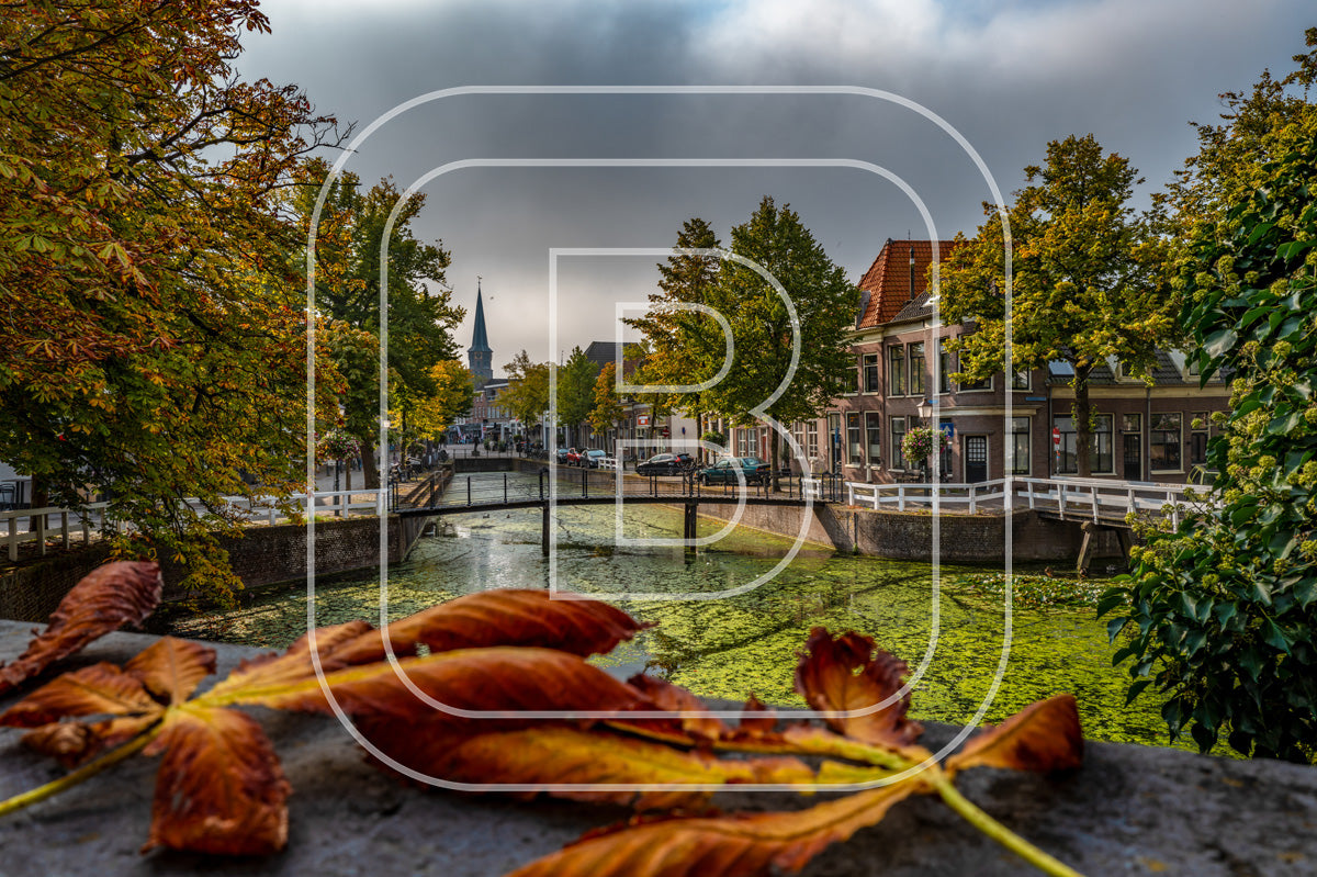 Nieuwland Kippebruggetje 65904