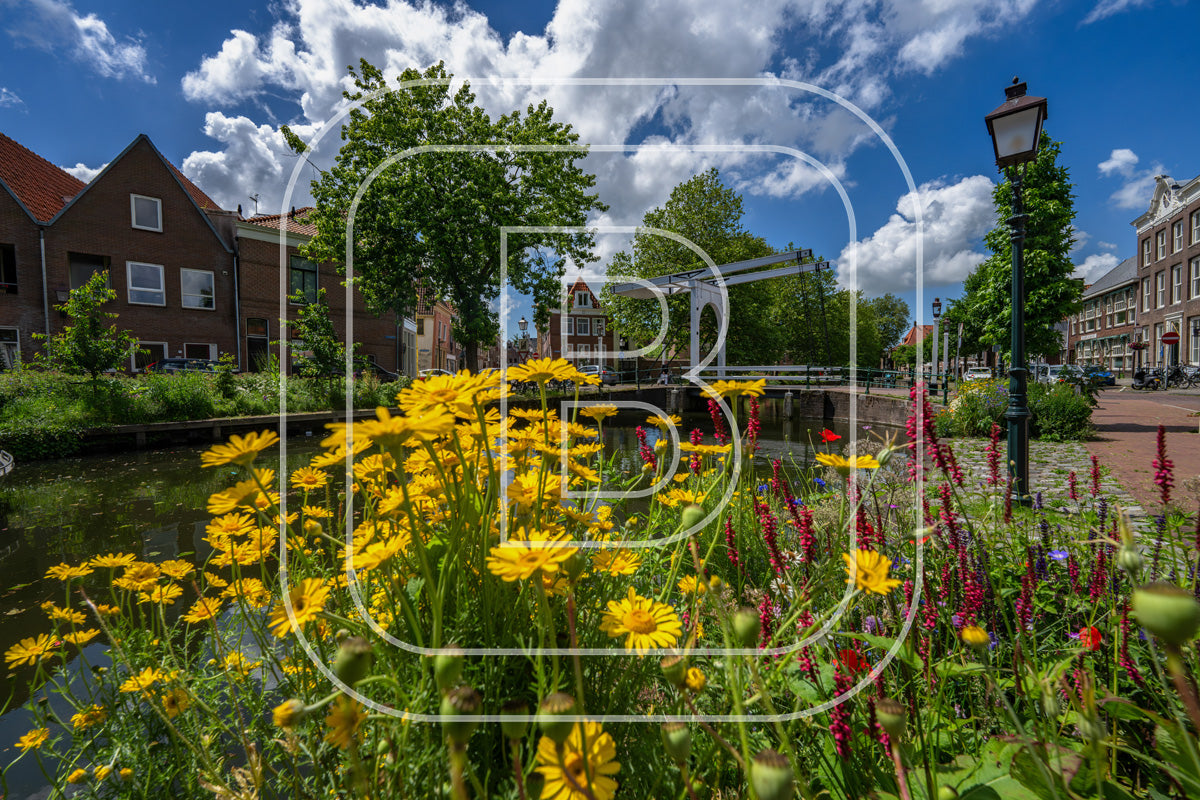 Onder De Boompjes 04118