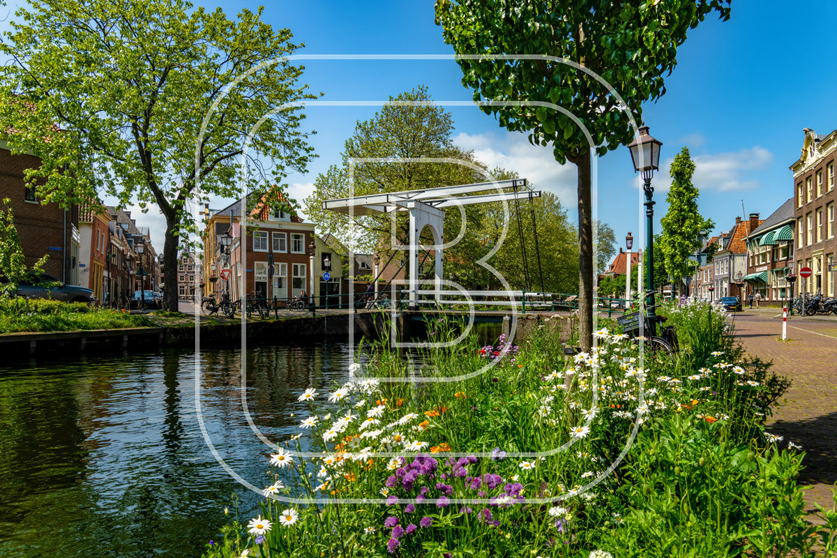 Onder De Boompjes 92779