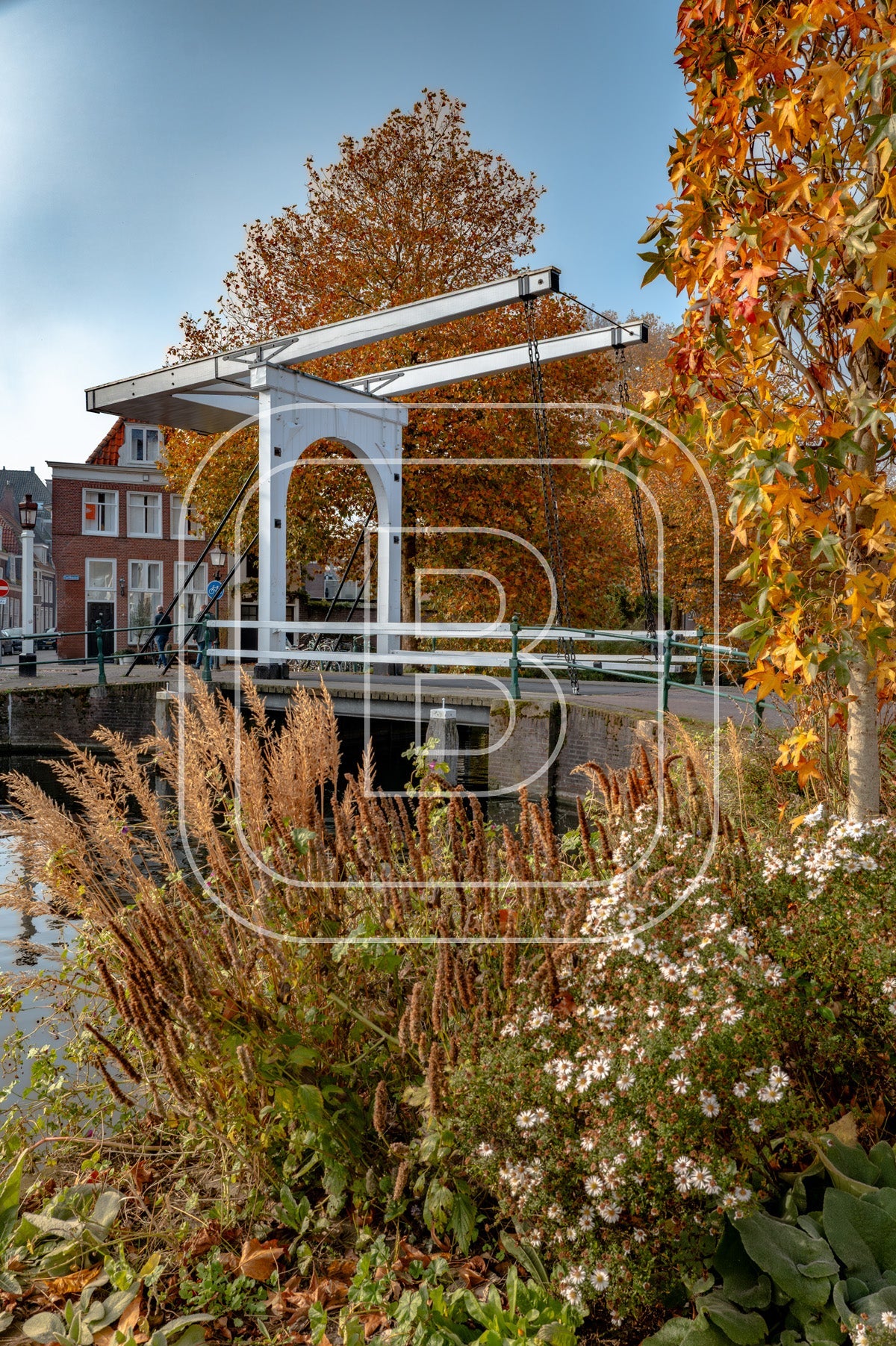 Onder De Boompjes 29968