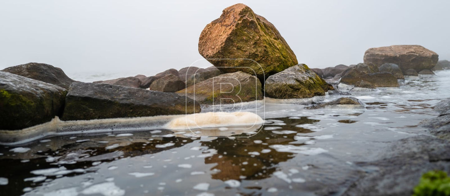 NOORSE_KEIEN_KUST