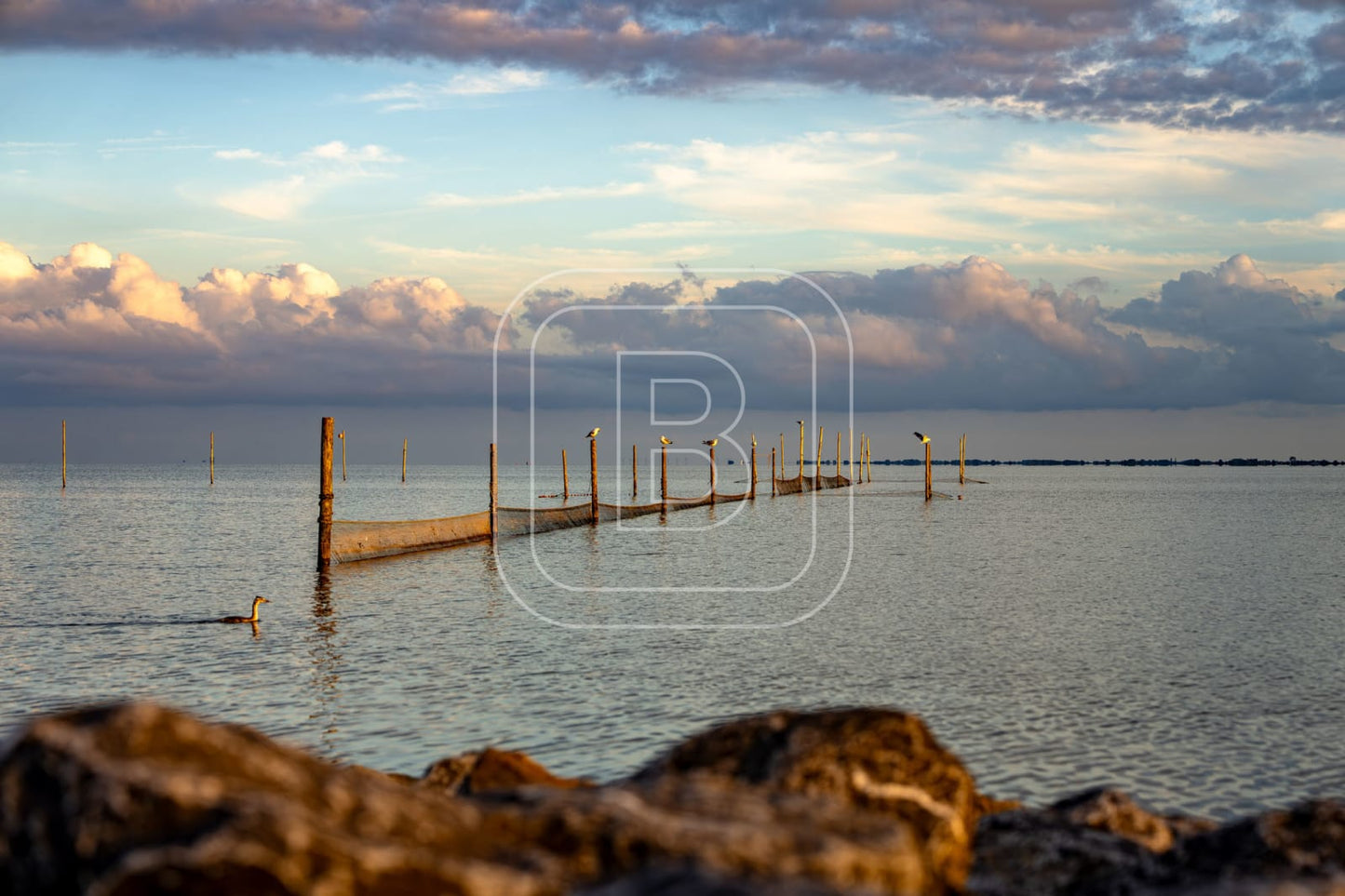 STILLEVEN_KUST