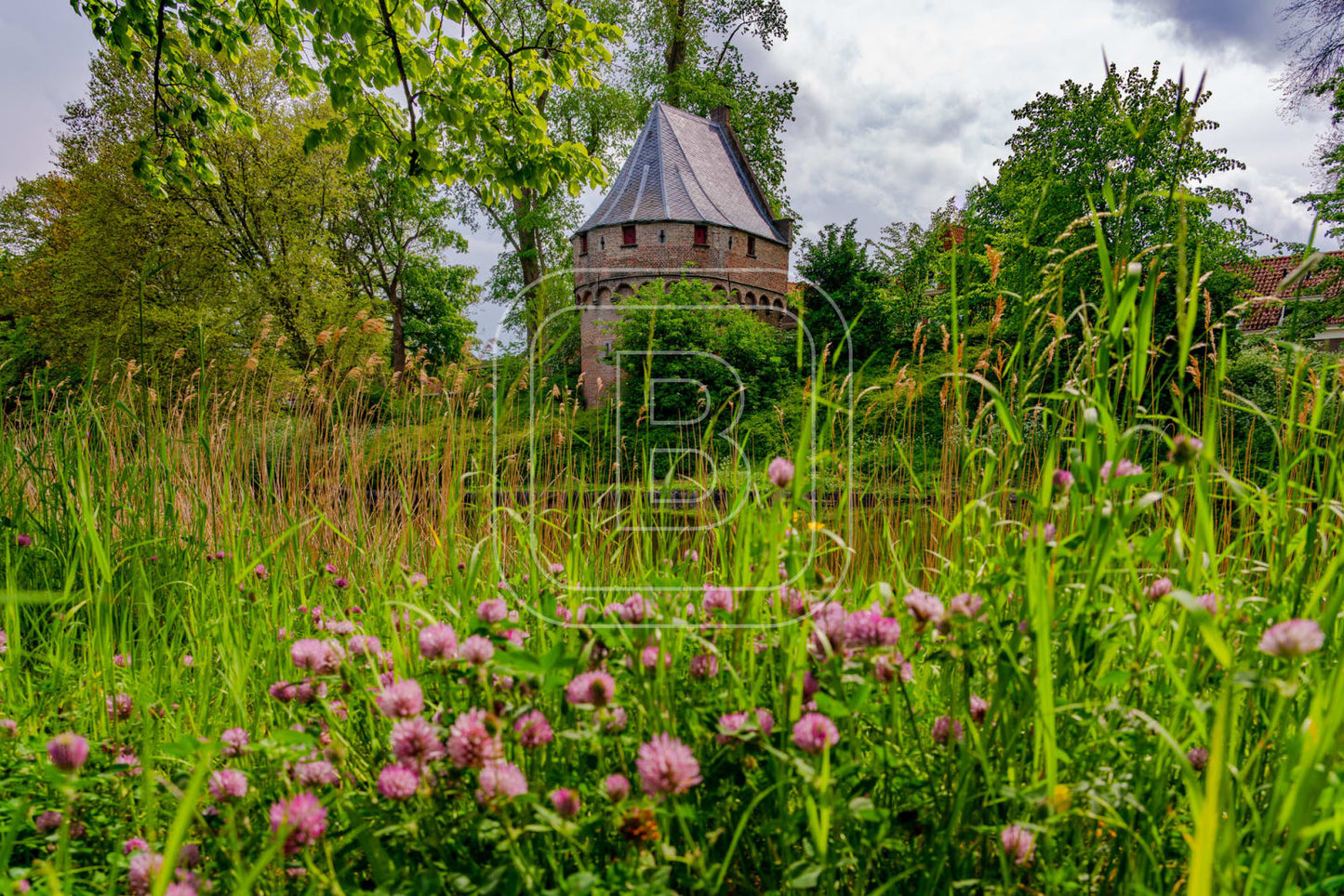 KRUITTOREN_DRAAFSINGEL_LENTE
