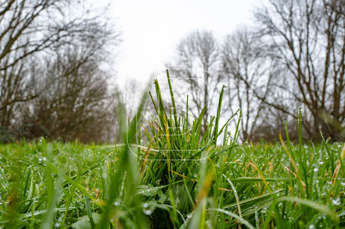 LANDSCHAP_JULIANAPARK