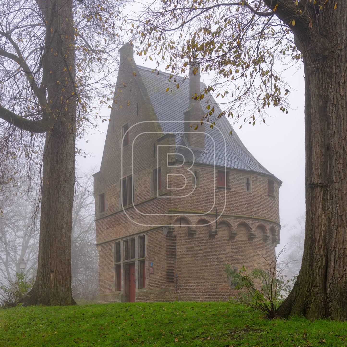 KRUITTOREN_DRAAFSINGEL_HERFST