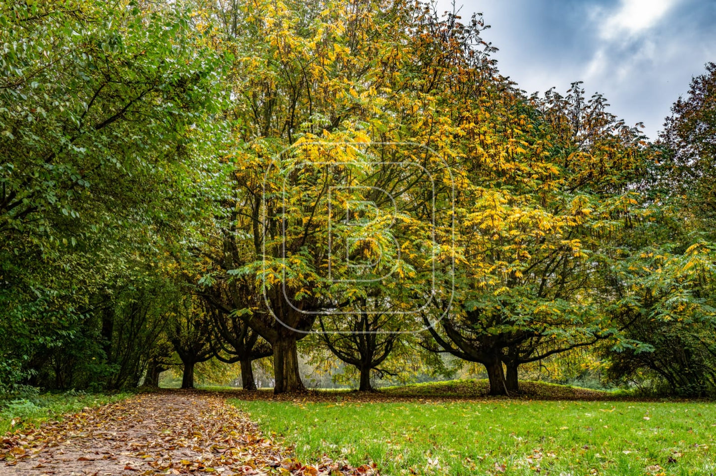 landschap_julianapark_liggend