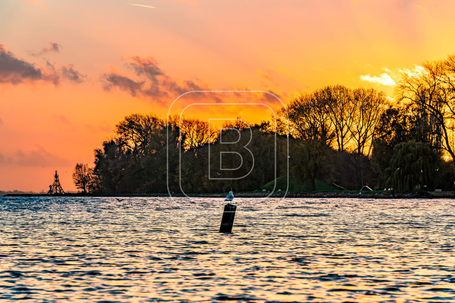 LANDSCHAP_JULIANAPARK