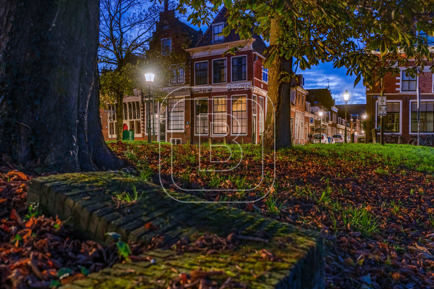 GROTE_OOST_BOSSUHUIZEN