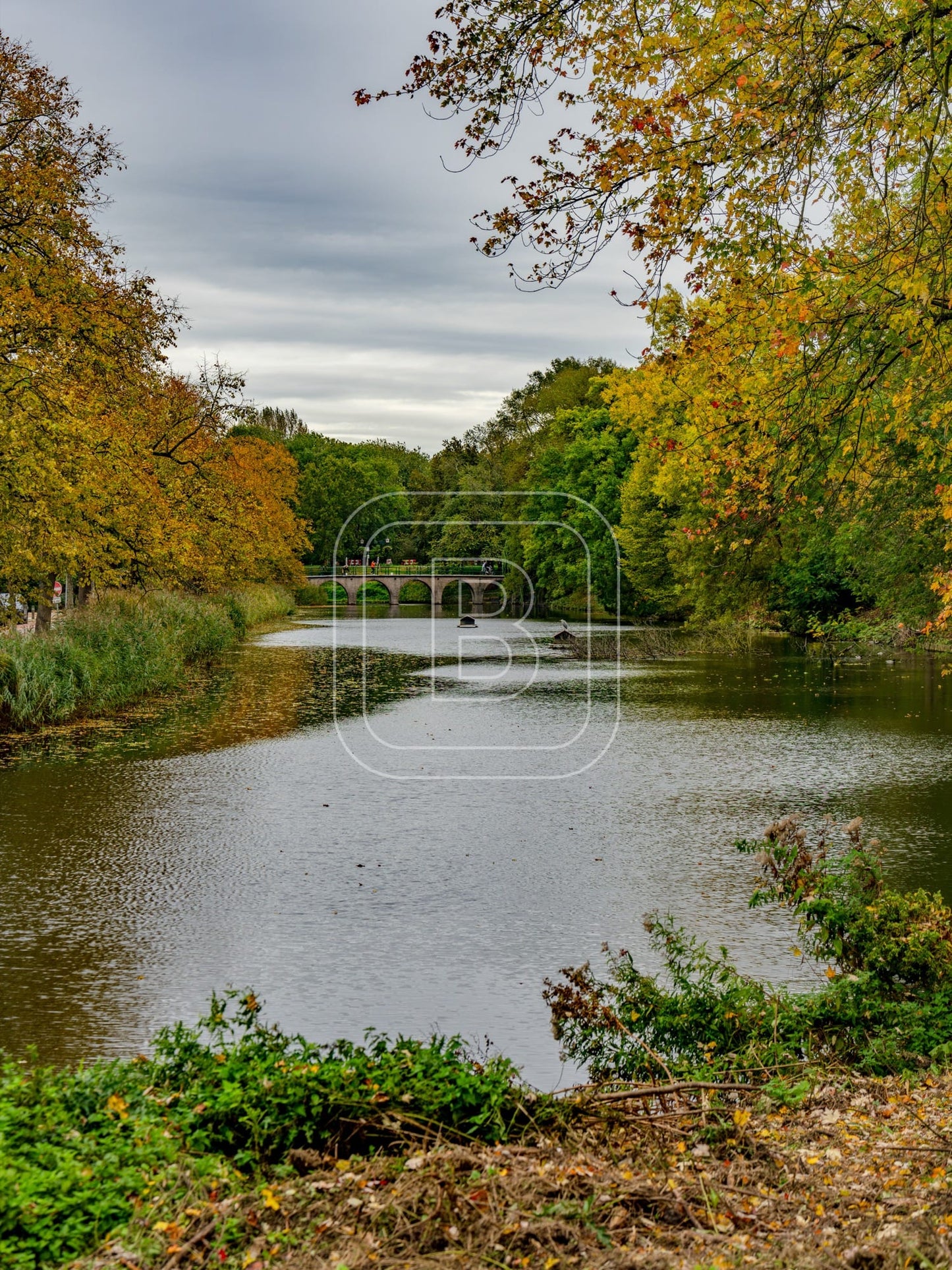 landschap_draafsingel_staand