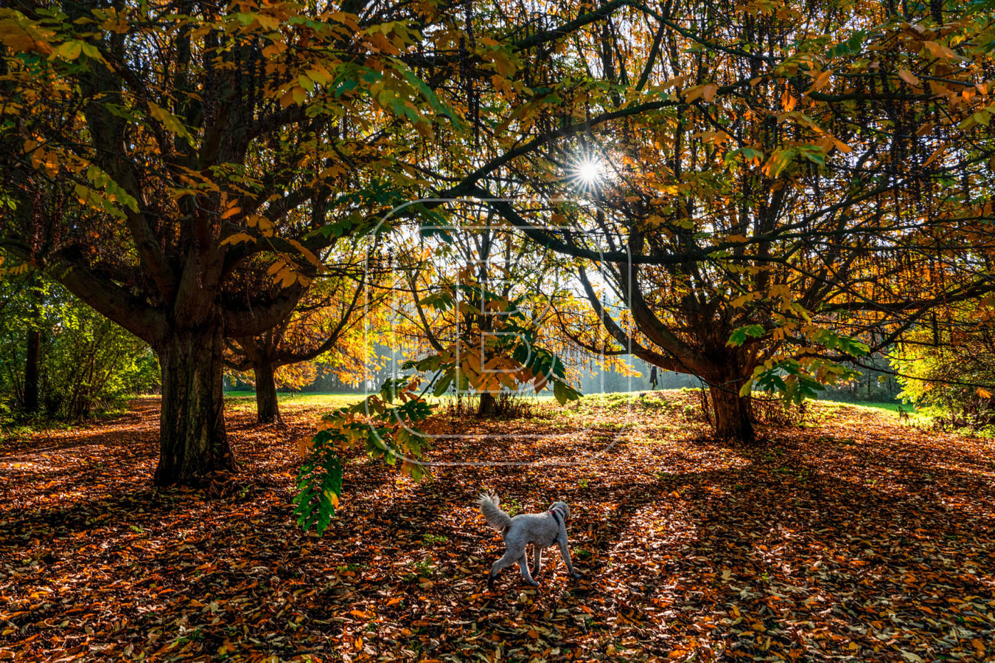 LANDSCHAP_JULIANAPARK