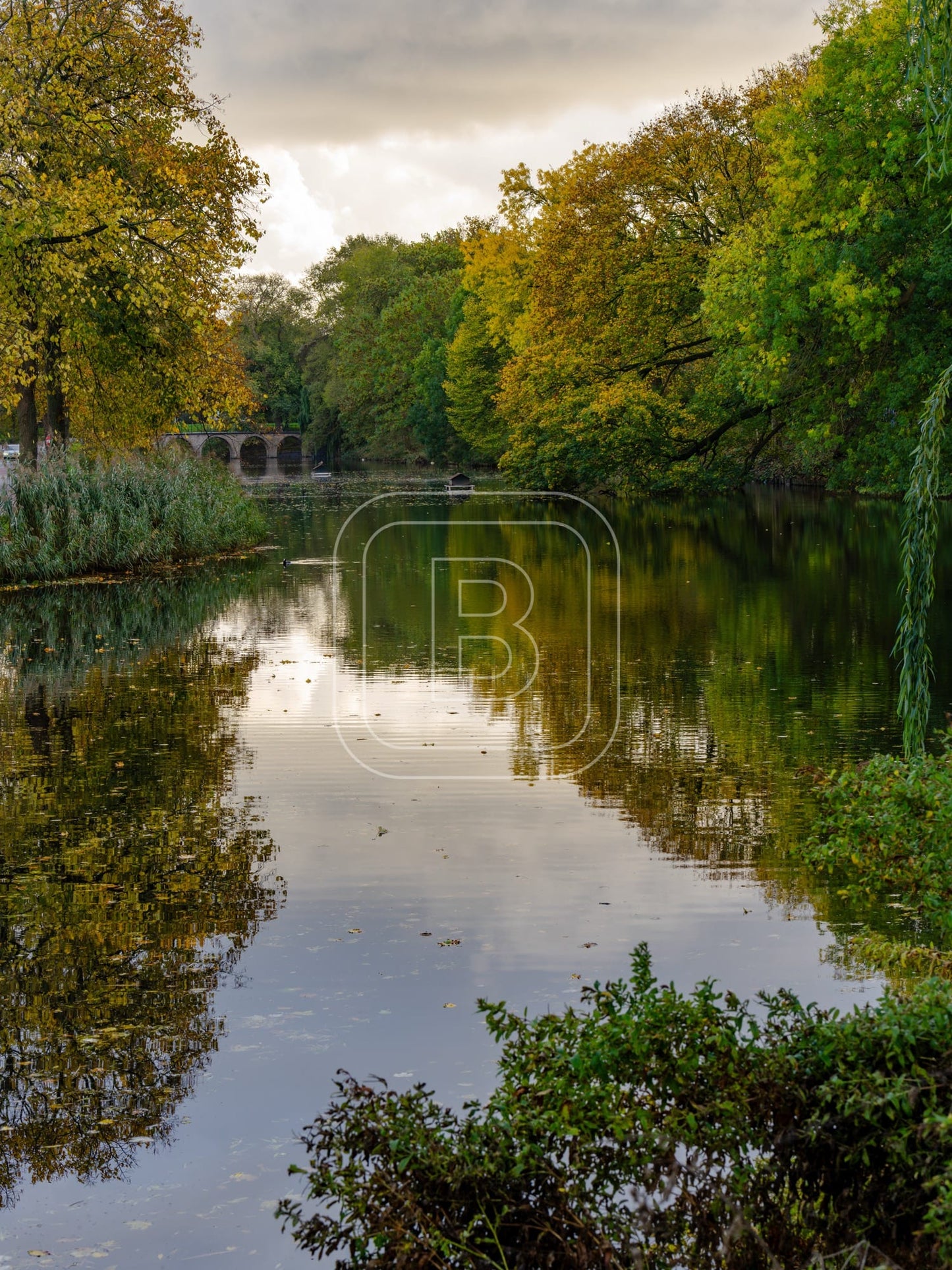landschap_draafsingel_staand