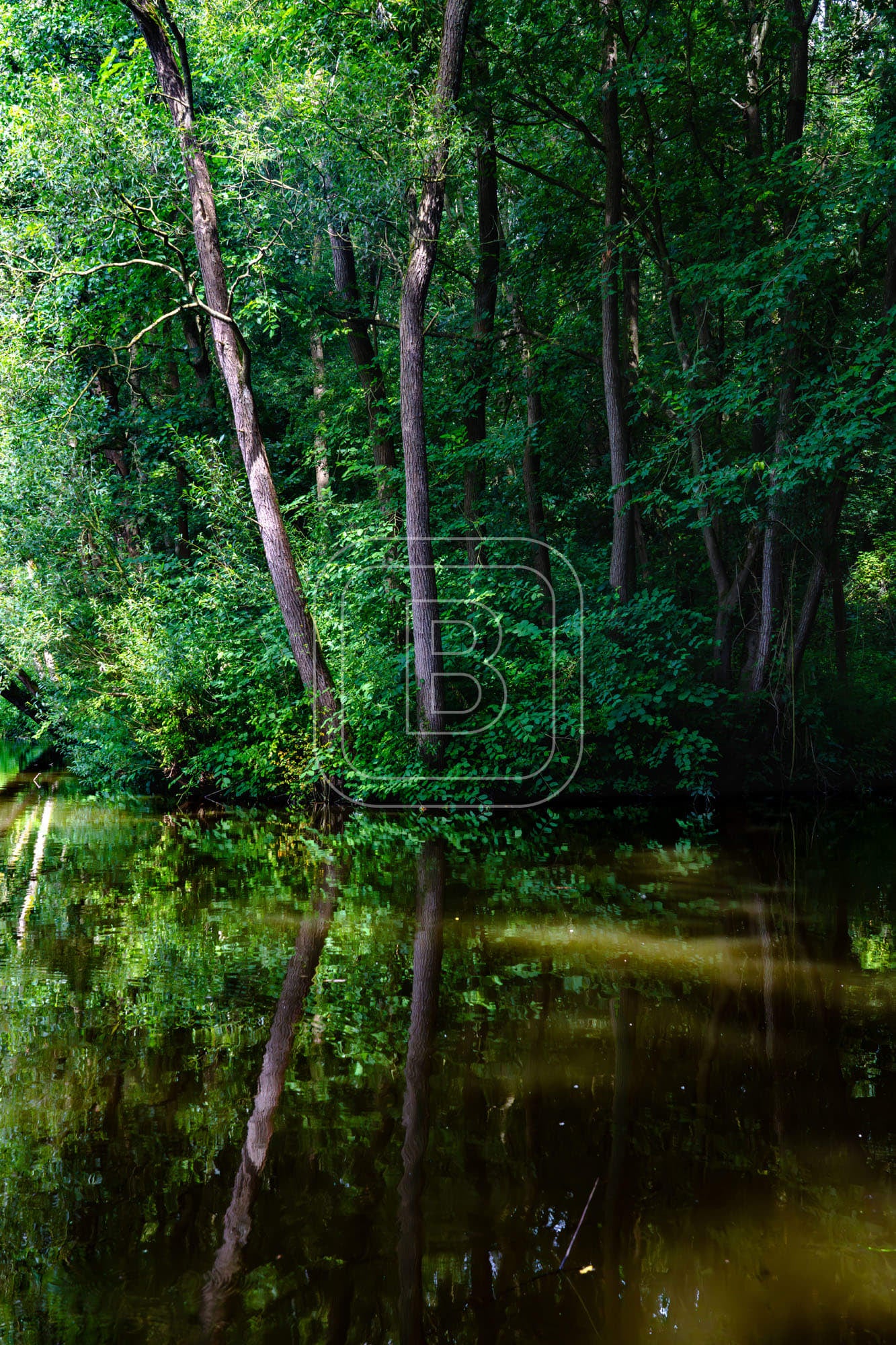 LANDSCHAP_DWAALPARK