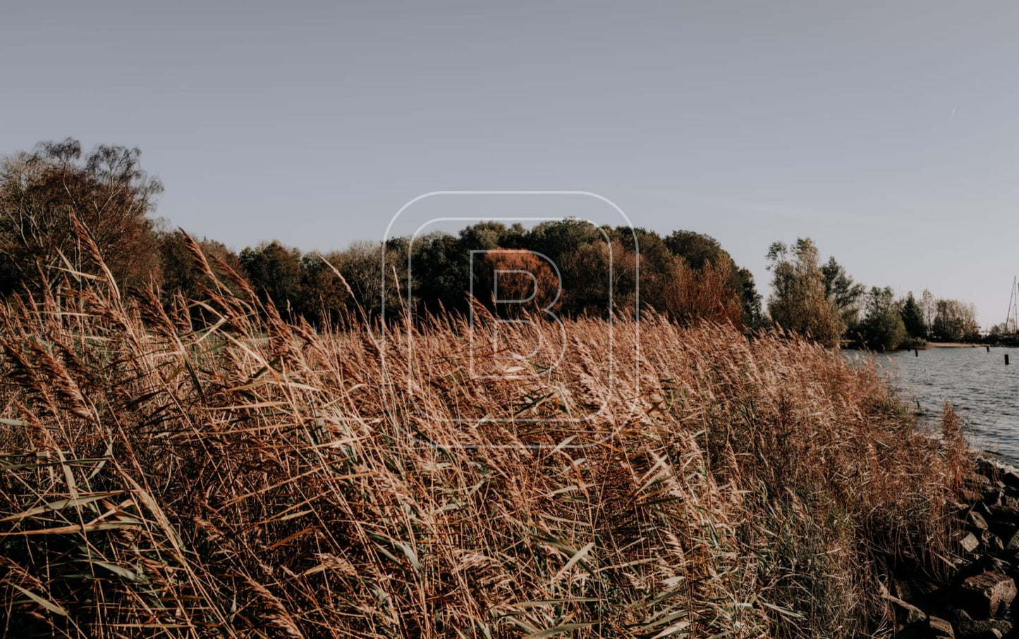 landschap_julianapark_liggend