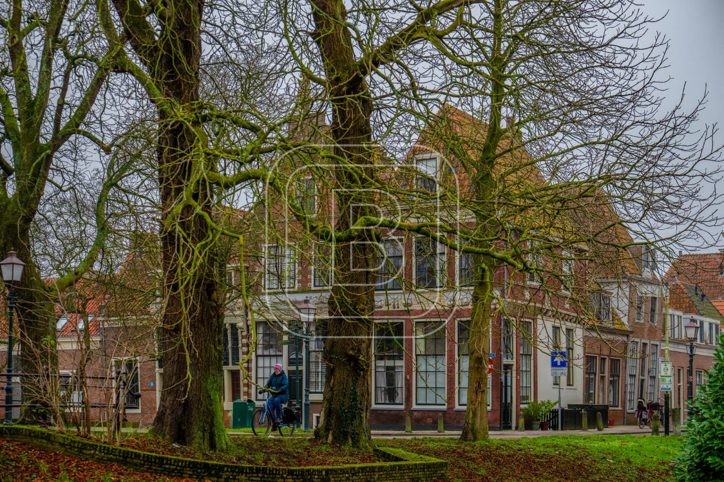 GROTE_OOST_BOSSUHUIZEN