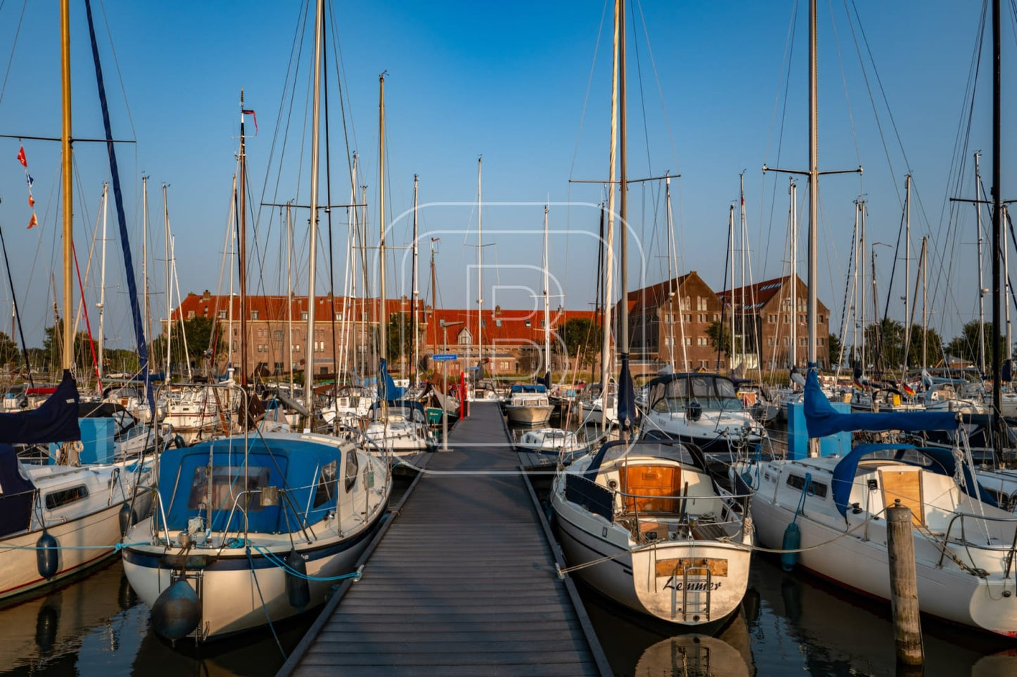 GRASHAVEN_OOSTEREILAND_ZOMER
