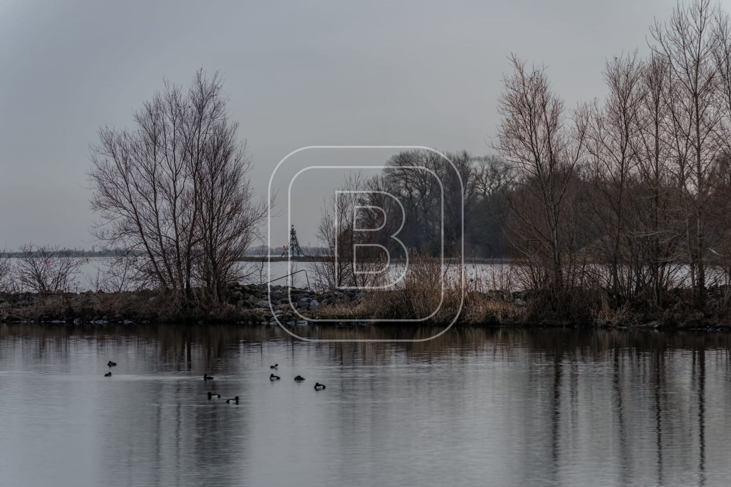 LANDSCHAP_JULIANAPARK