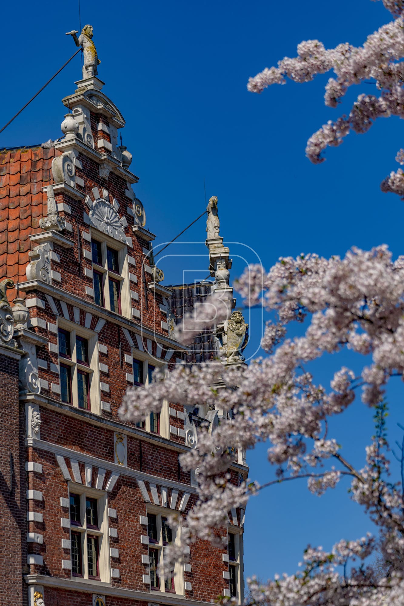 statenpoort_bloemen_staand