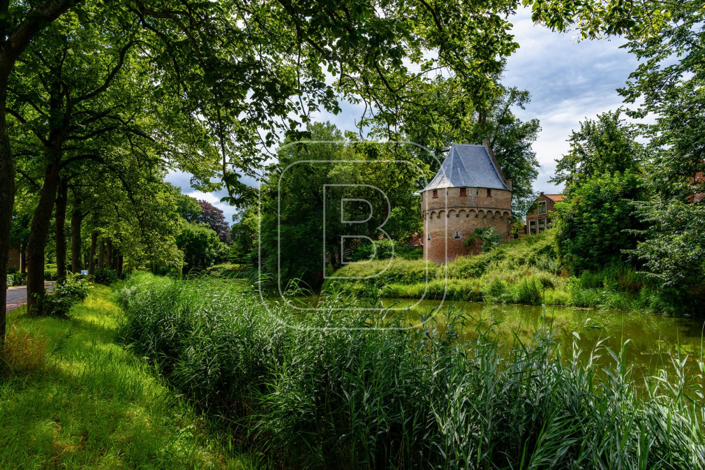 KRUITTOREN_DRAAFSINGEL_ZOMER