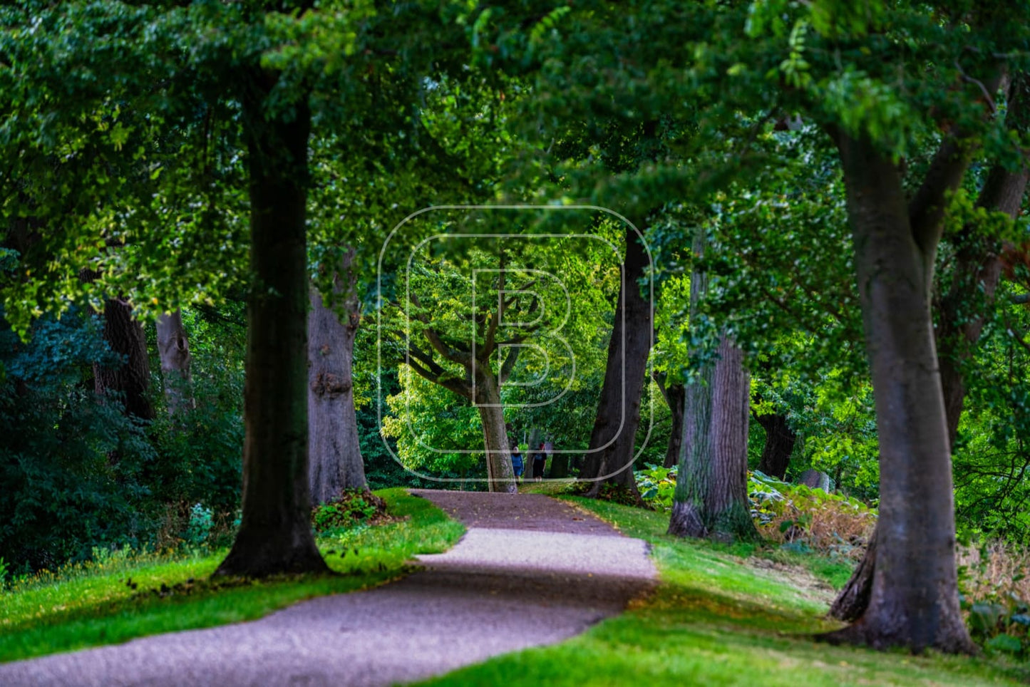 landschap_draafsingel_liggend