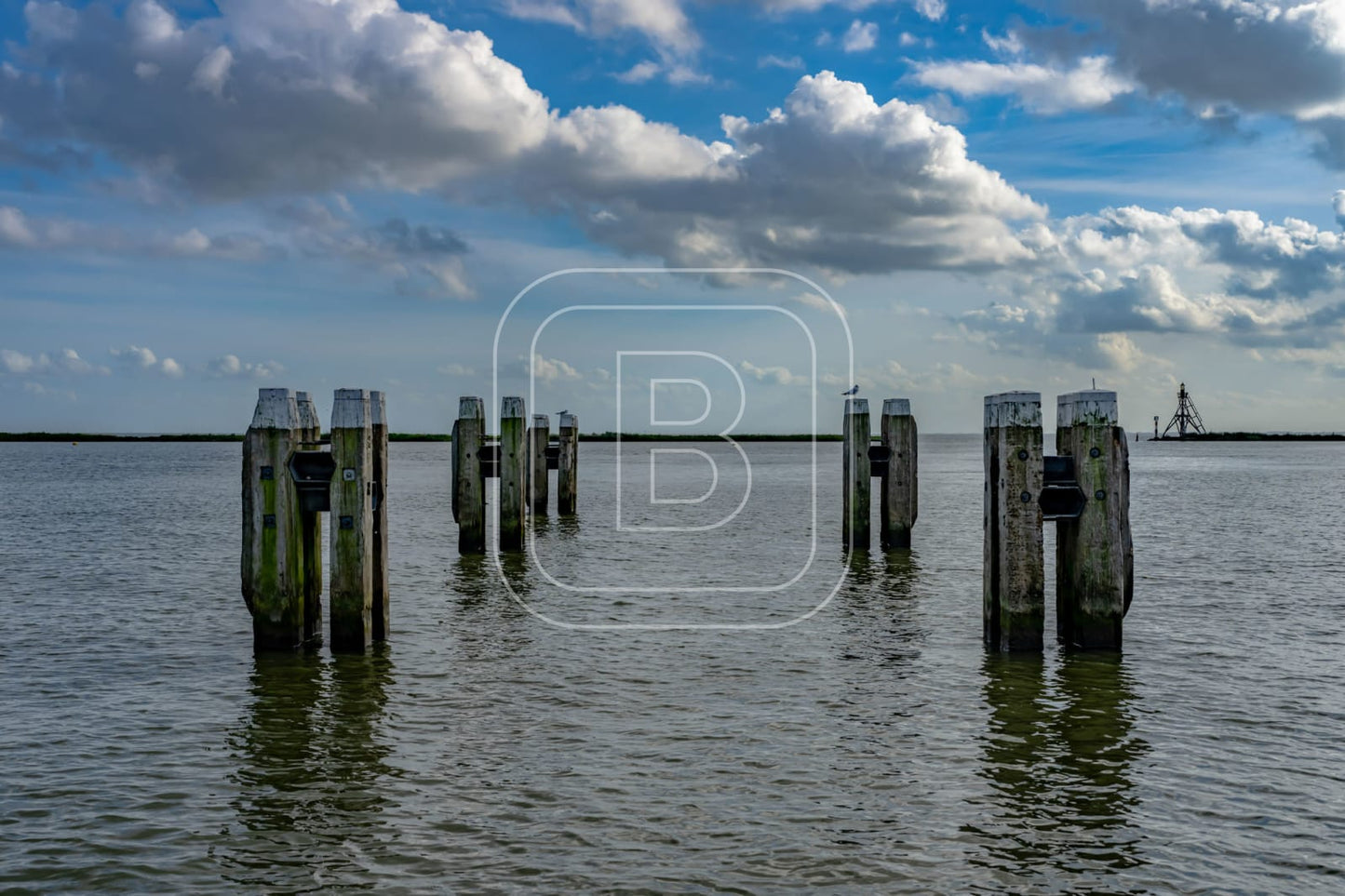 STILLEVEN_KUST