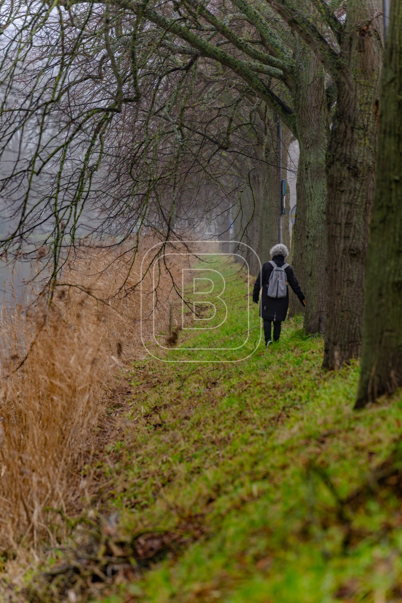 landschap_draafsingel_staand