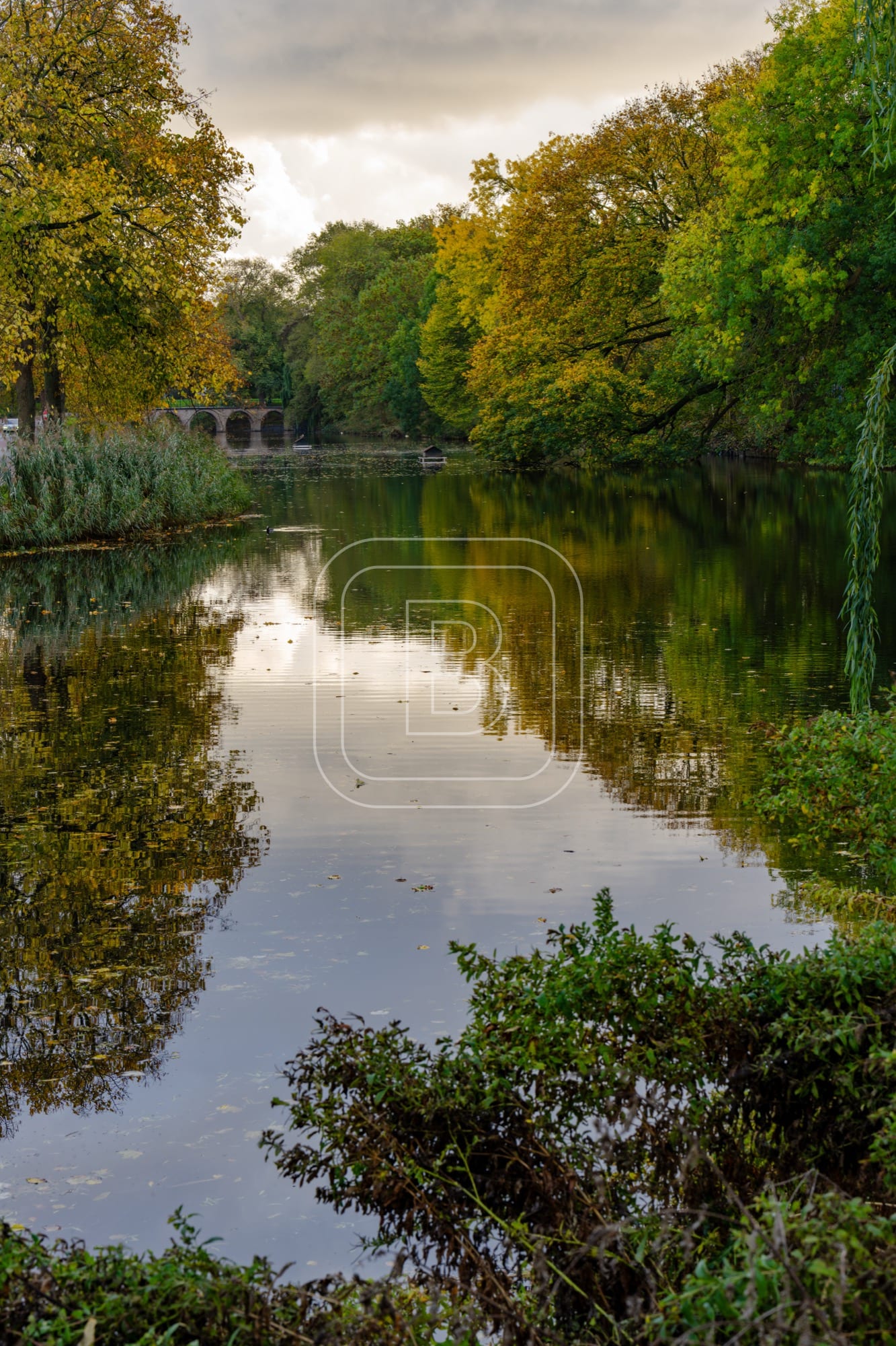 landschap_draafsingel_staand