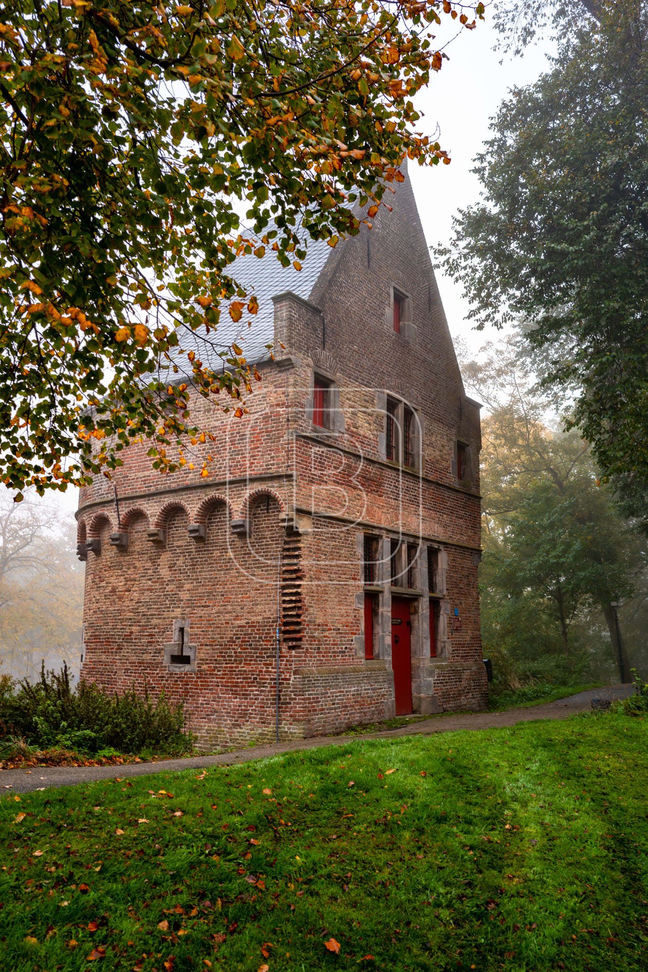 KRUITTOREN_DRAAFSINGEL_HERFST