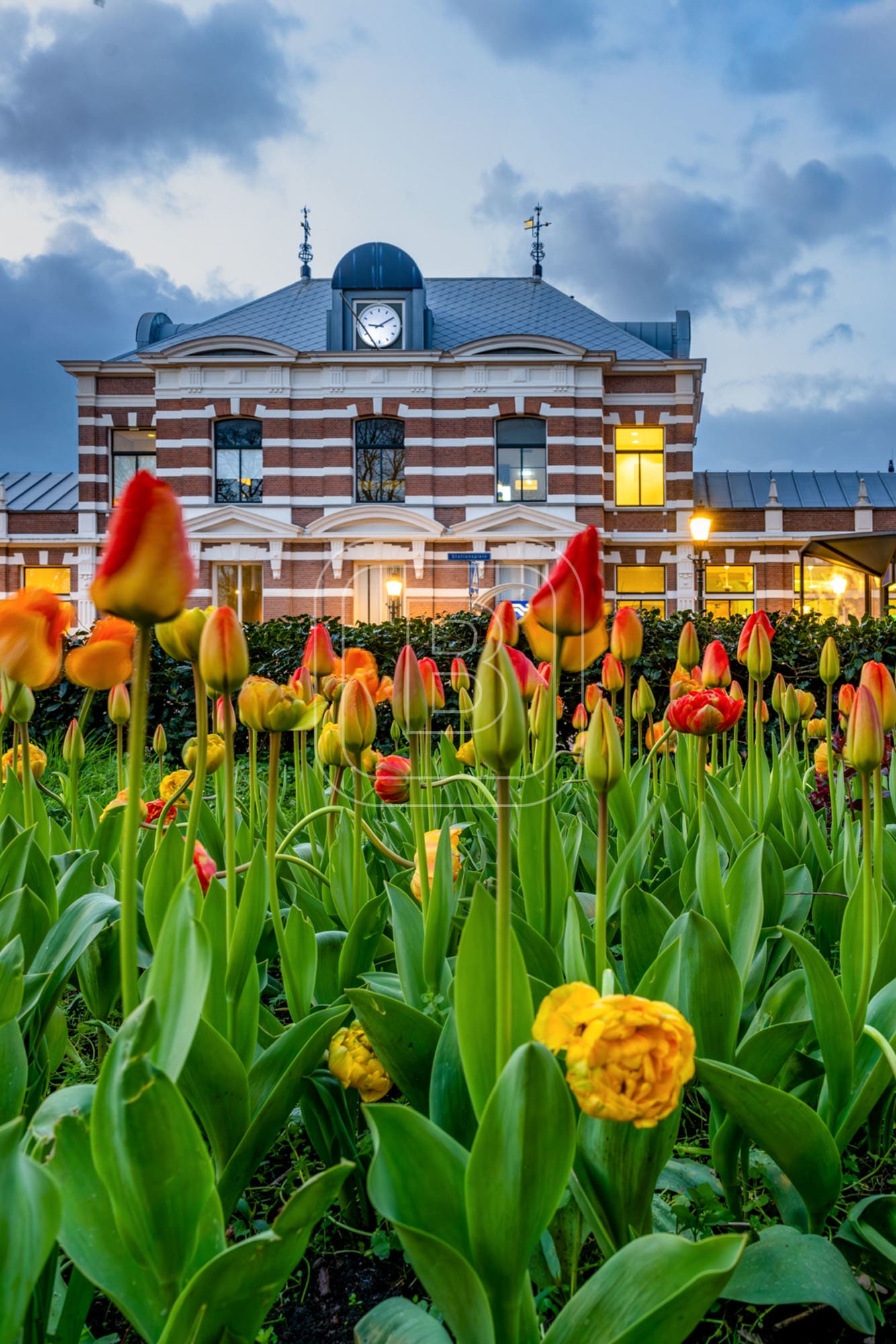 station_bloemen_staand
