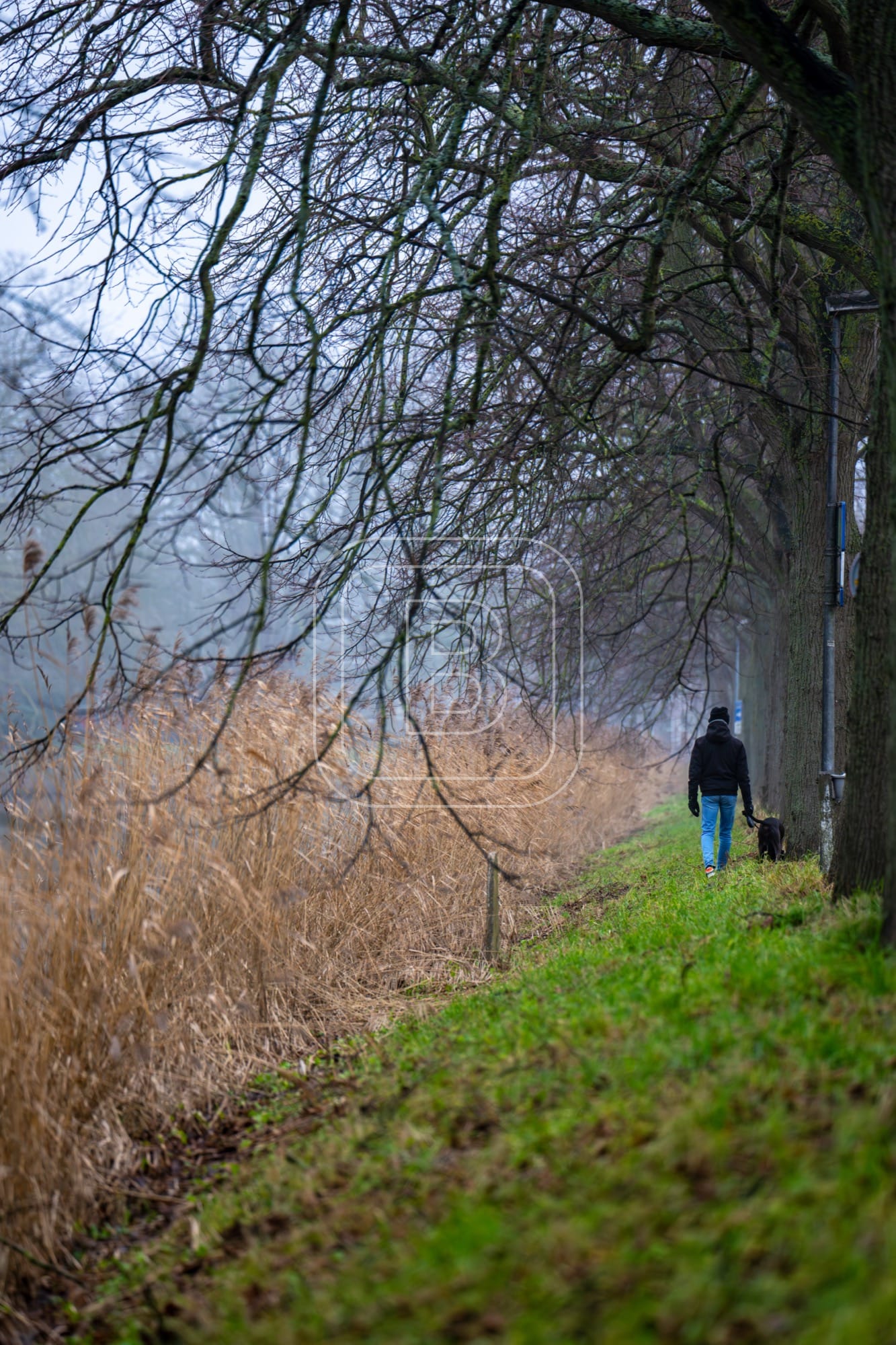 landschap_draafsingel_staand