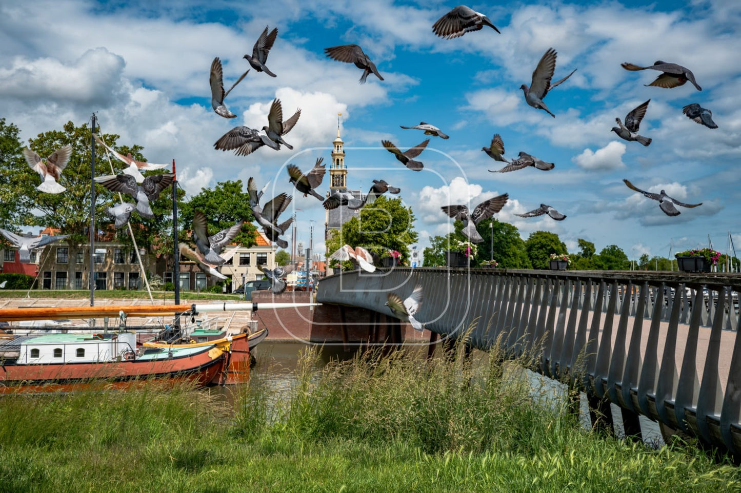 flora_en_fauna_haven_duiven_liggend