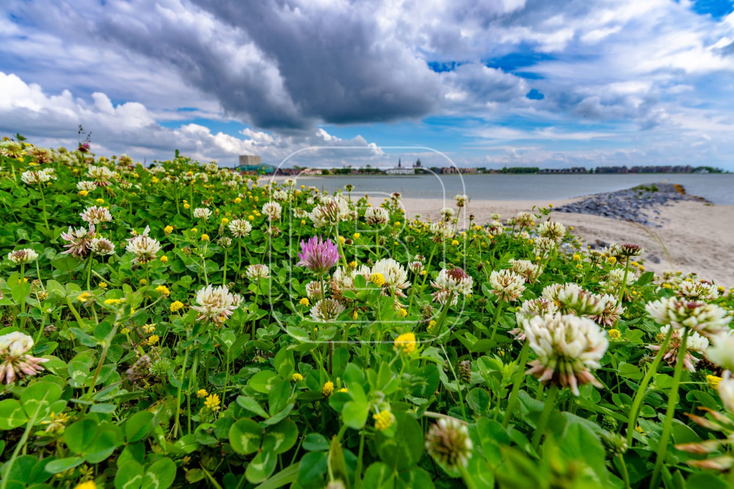 LANDSCHAP_STADSSTRAND