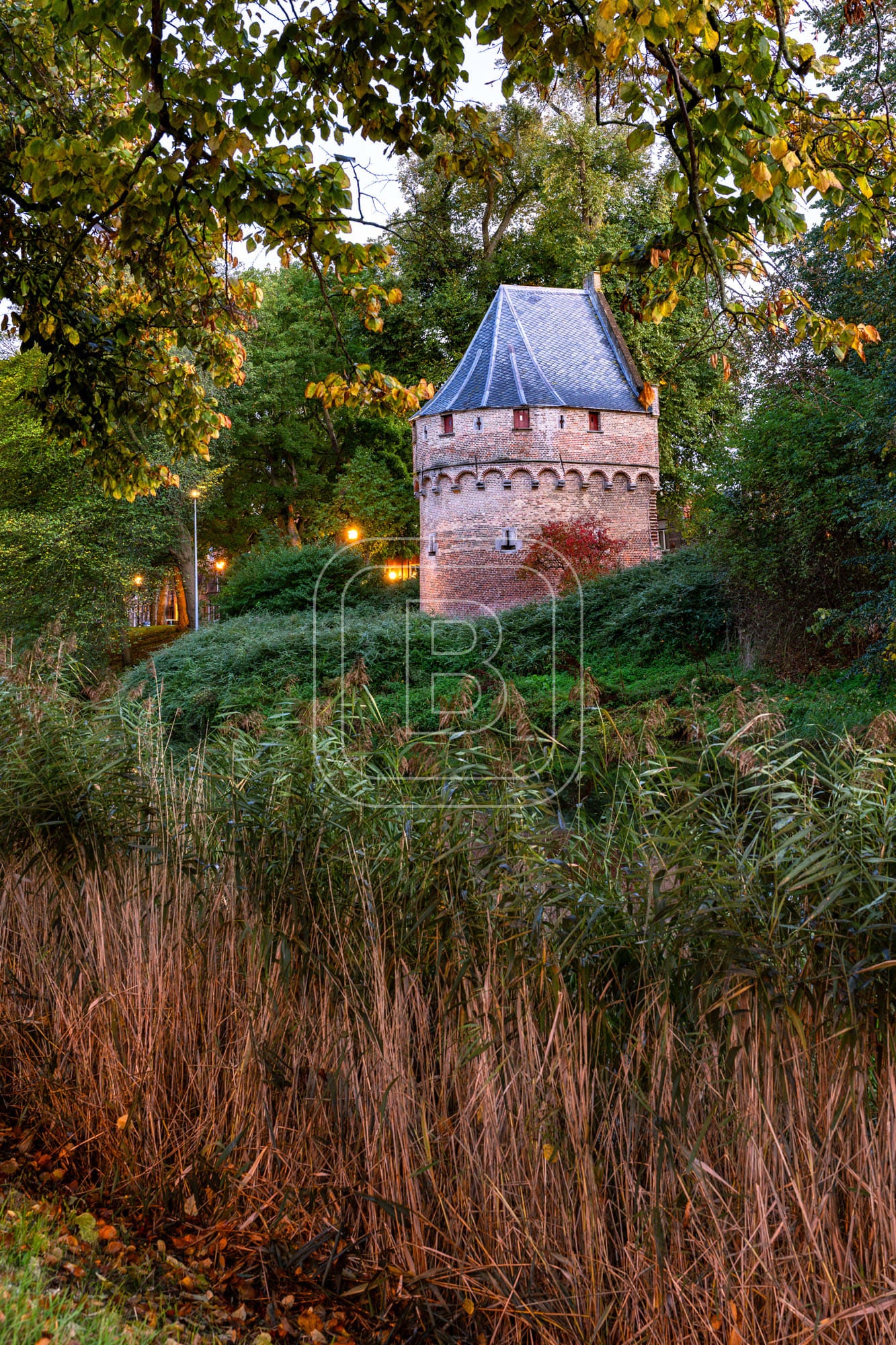 KRUITTOREN_DRAAFSINGEL_HERFST