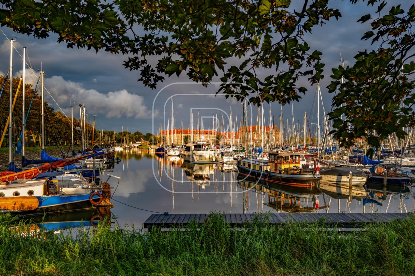 GRASHAVEN_OOSTEREILAND_ZOMER