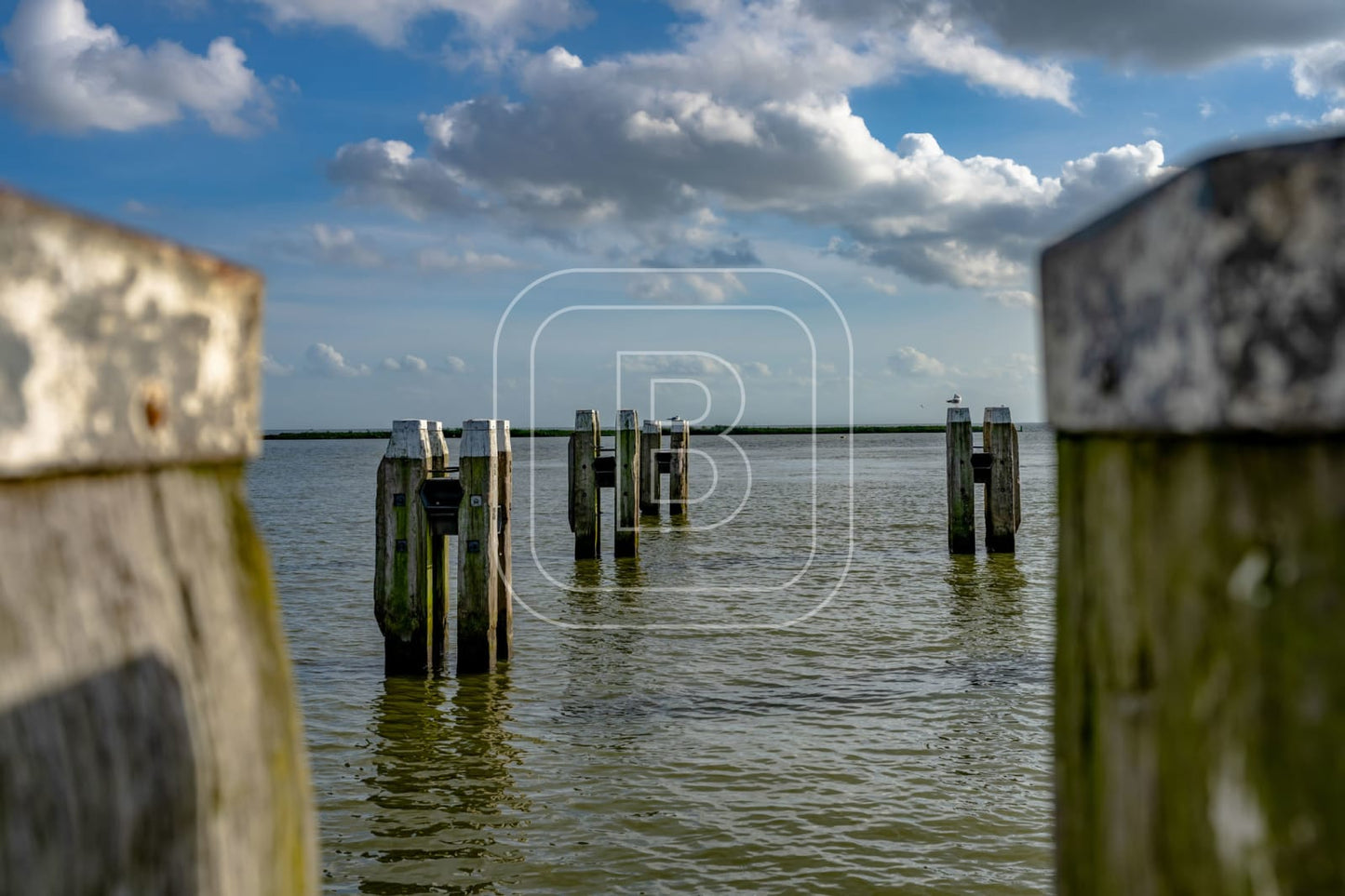 STILLEVEN_KUST