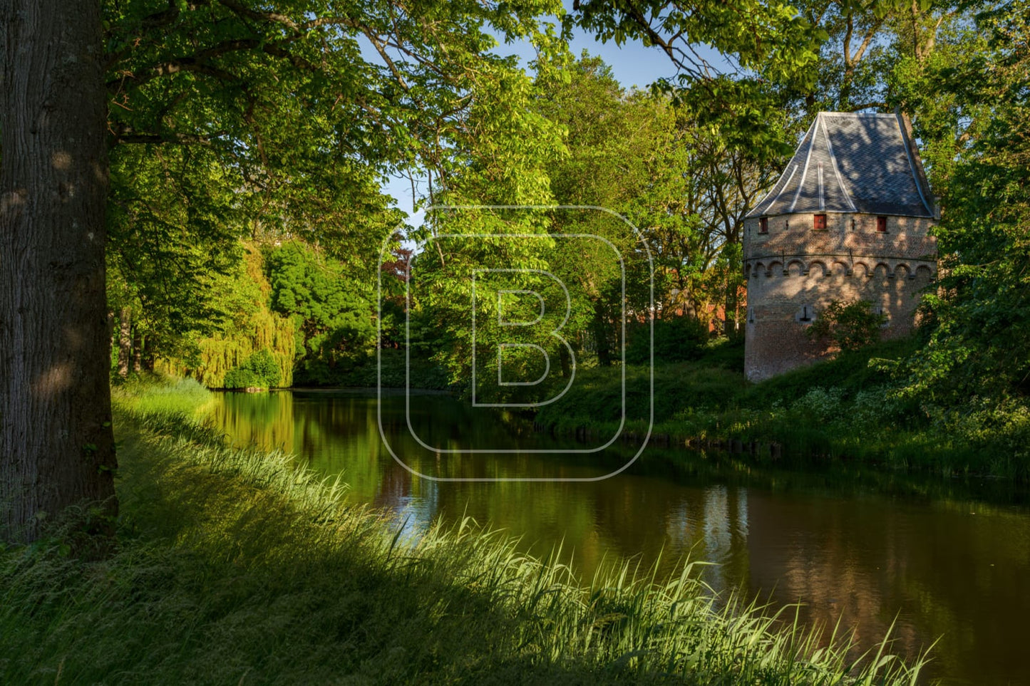 KRUITTOREN_DRAAFSINGEL_ZOMER