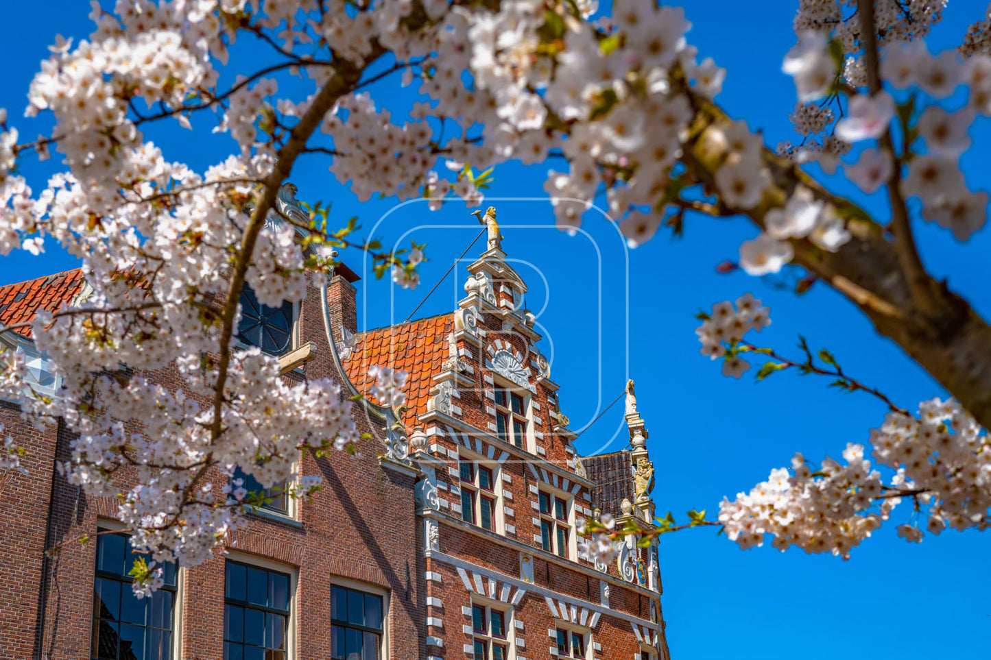 statenpoort_bloemen_liggend