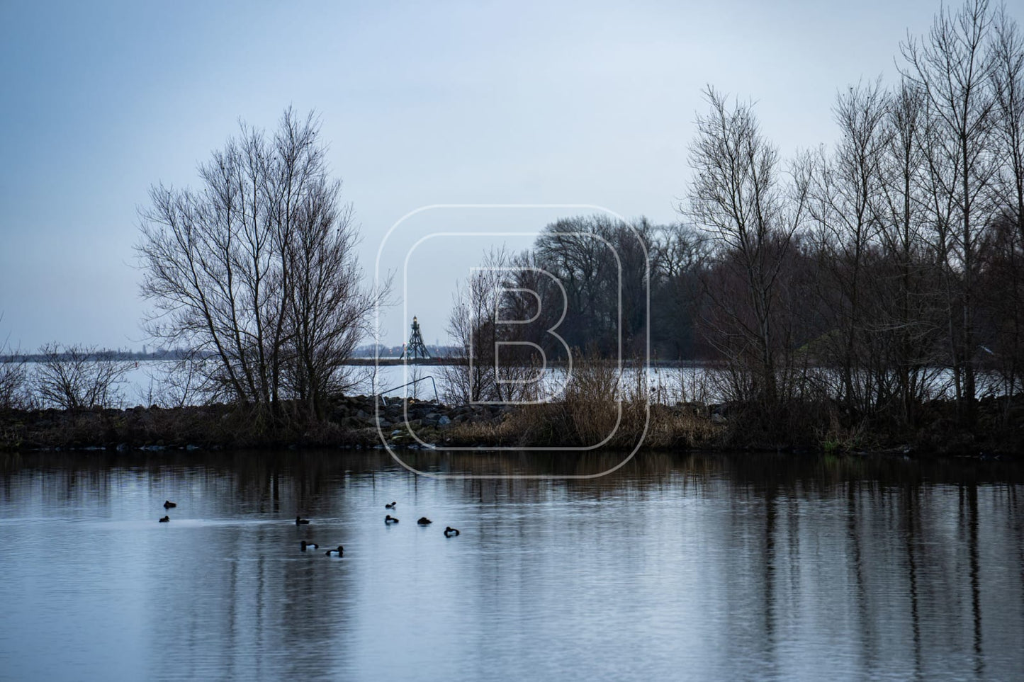 LANDSCHAP_JULIANAPARK