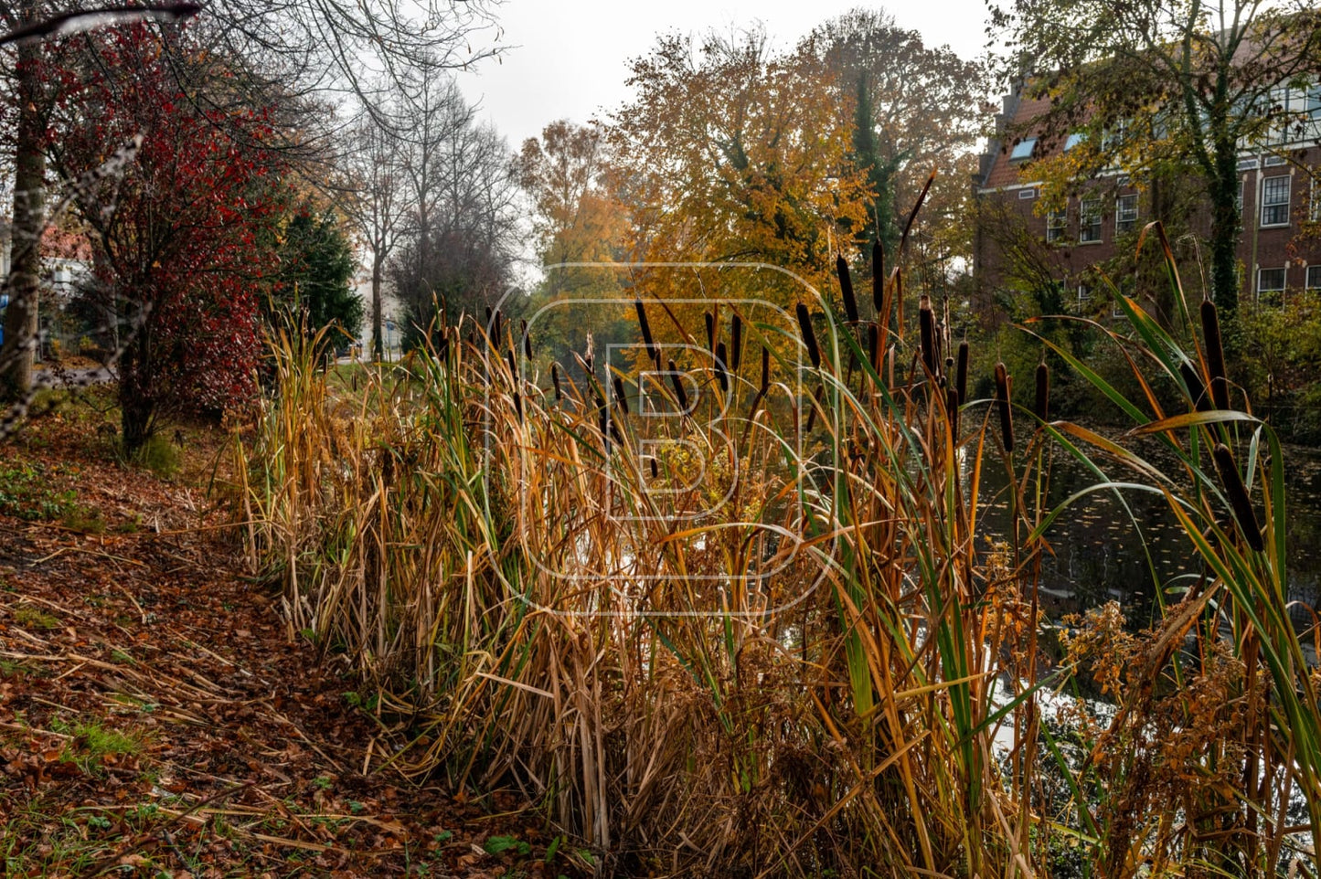 landschap_spoorsingel_liggend