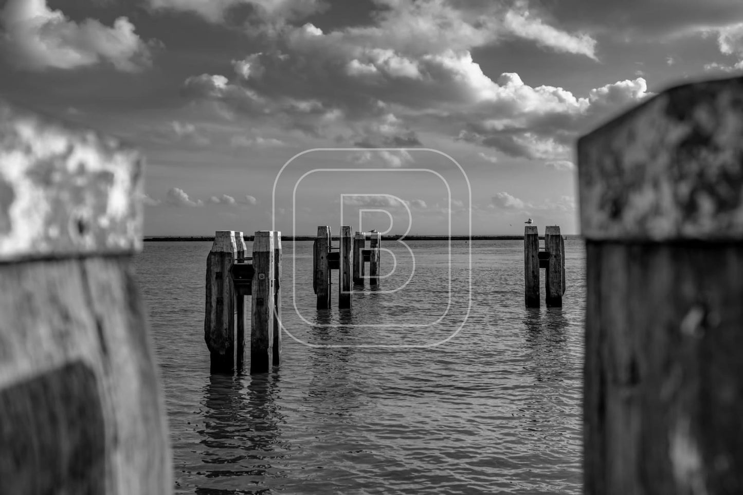 STILLEVEN_KUST
