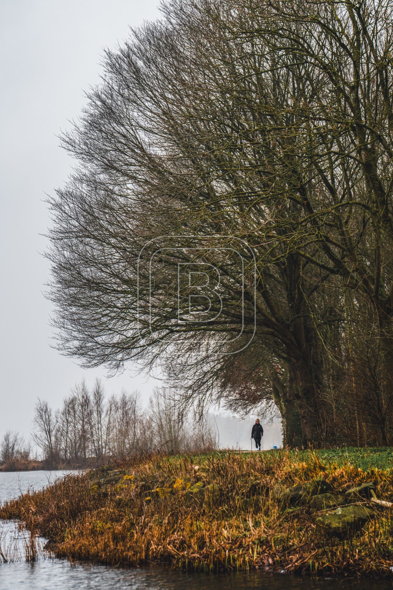 landschap_julianapark_staand