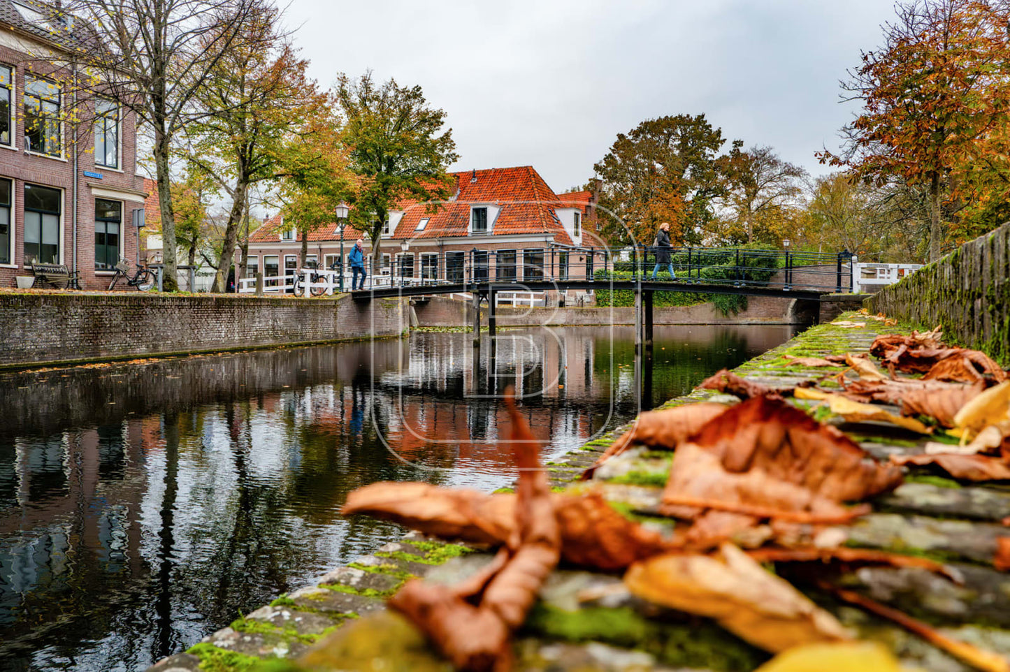 NIEUWLAND_KIPPEBRUGGETJE