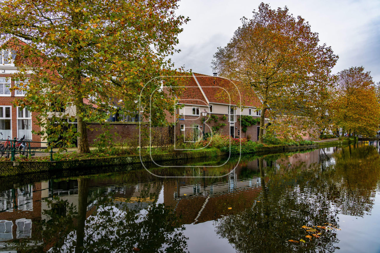 ONDER_DE_BOOMPJES