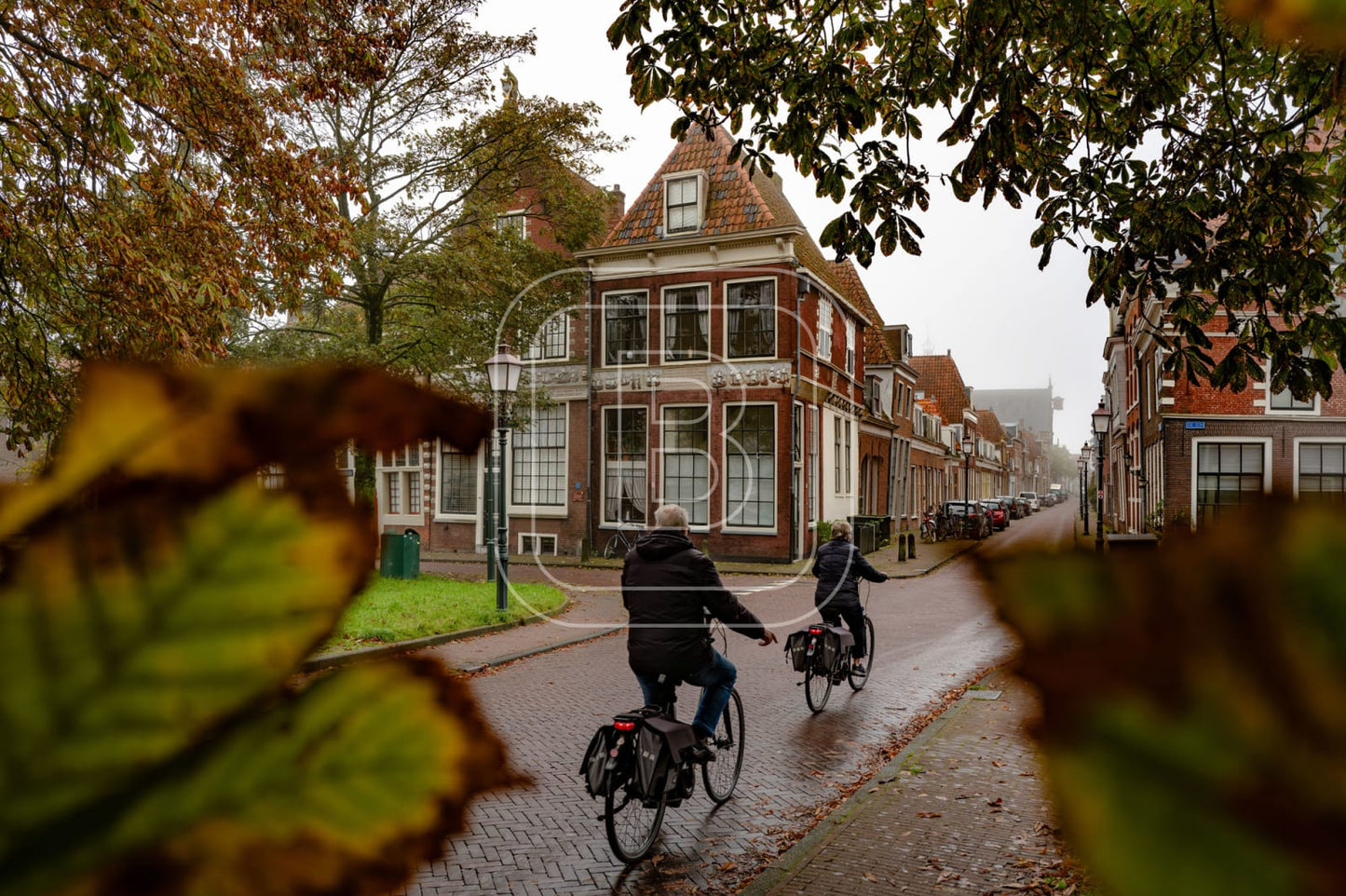 GROTE_OOST_BOSSUHUIZEN