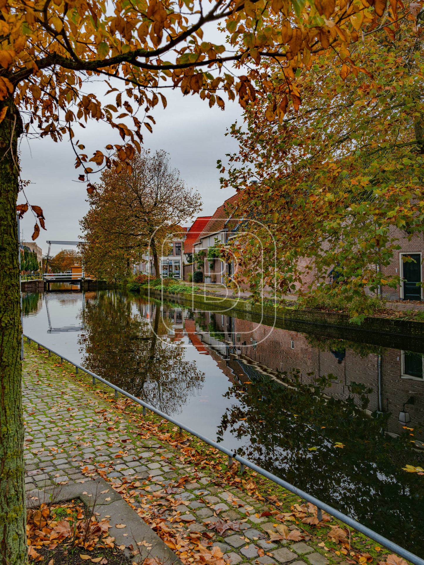 ONDER_DE_BOOMPJES