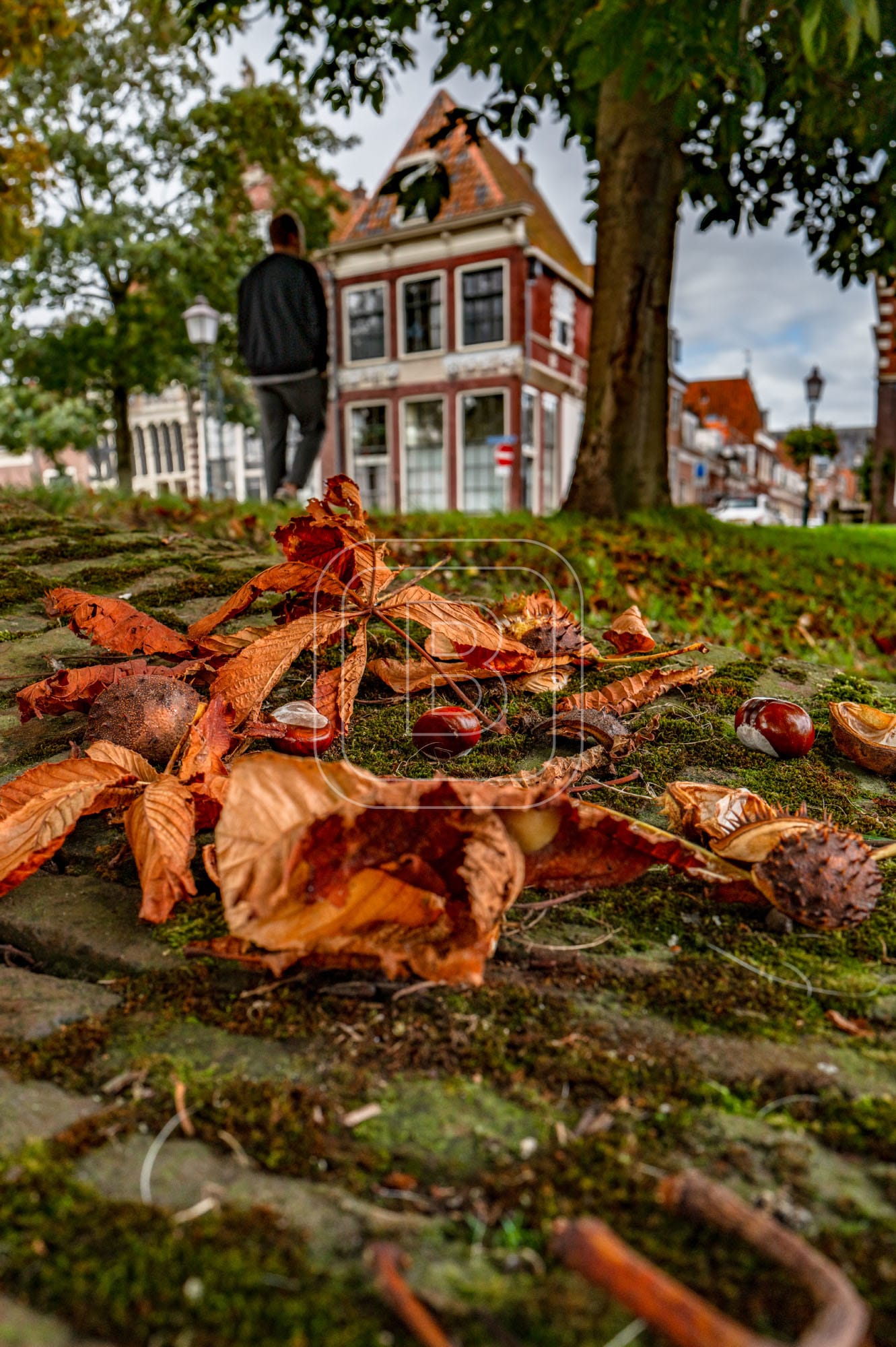 GROTE_OOST_BOSSUHUIZEN